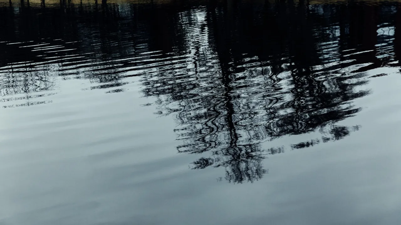 IA Rivoluziona il Go e un Mistero di Cybersecurity