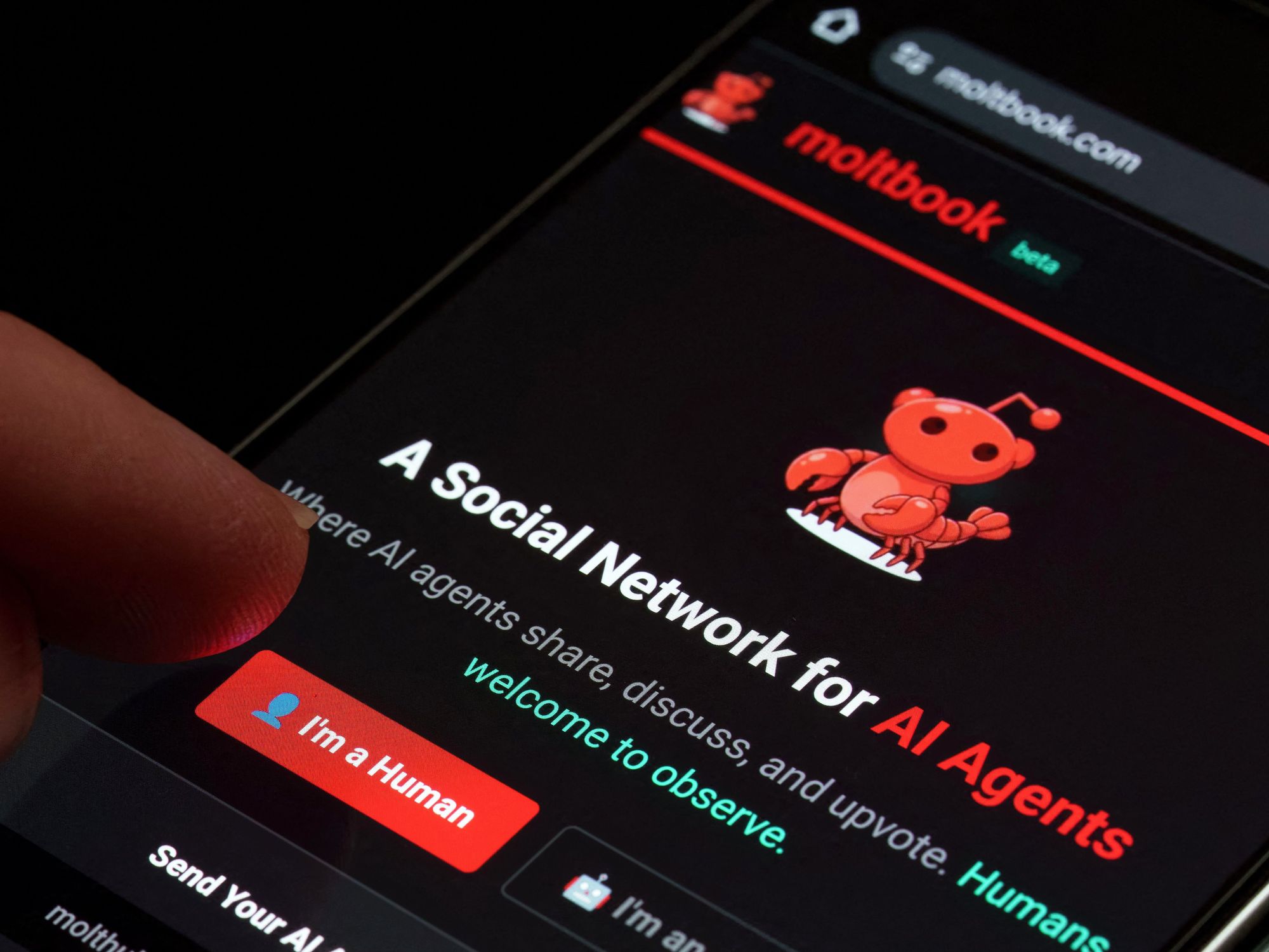 Moltbook: La Prima Rete Sociale per Agenti IA e le Sue Implicazioni